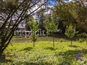 Prodej pozemku pro bydlení, Březnice, 996 m2