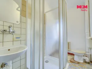 Pronájem rodinného domu, Dlažov, 223 m2