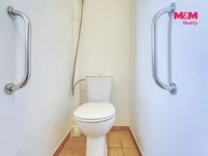 Pronájem rodinného domu, Dlažov, 223 m2