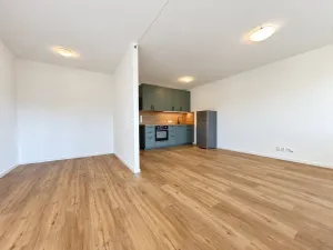 Pronájem bytu 1+kk, Praha - Podolí, Dvorecká, 43 m2