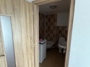 Prodej bytu 1+1, Ondratice, 36 m2
