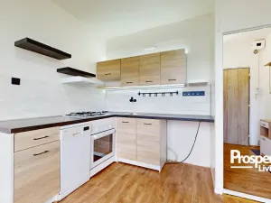 Prodej bytu 1+1, Ústí nad Labem - Střekov, Truhlářova, 37 m2