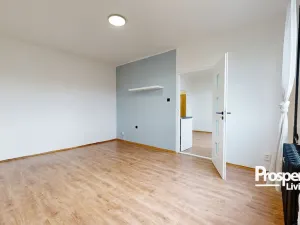 Prodej bytu 1+1, Ústí nad Labem - Střekov, Truhlářova, 37 m2