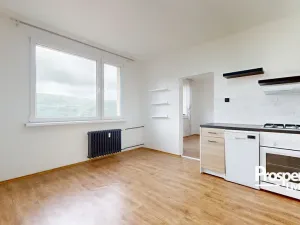 Prodej bytu 1+1, Ústí nad Labem - Střekov, Truhlářova, 37 m2