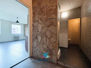 Prodej bytu 1+kk, Teplice, Přítkovská, 31 m2