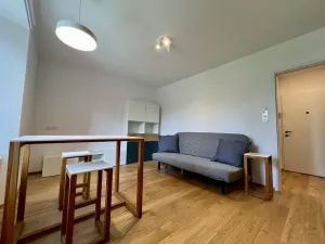 Pronájem bytu 1+kk, Praha - Nusle, Vrtbova, 27 m2