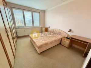 Pronájem bytu 1+1, Písek - Pražské Předměstí, Na Pěníku, 43 m2