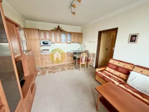 Pronájem bytu 1+1, Písek - Pražské Předměstí, Na Pěníku, 43 m2