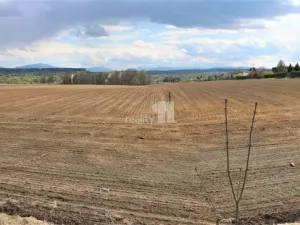 Prodej pozemku pro bydlení, Šenov, Pod Školou, 39000 m2