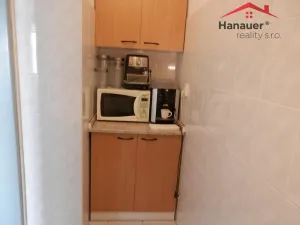 Pronájem kanceláře, Ústí nad Labem - Ústí nad Labem-centrum, U Vlečky, 16 m2