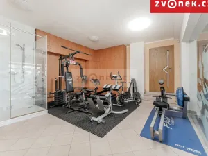 Prodej kanceláře, Hranice, Pod Bílým kamenem, 540 m2