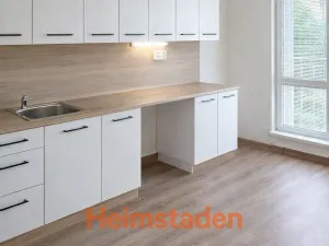 Pronájem bytu 1+1, Orlová - Lutyně, Okružní, 48 m2