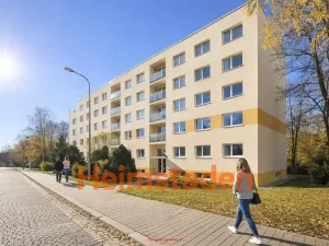 Pronájem bytu 1+1, Havířov - Město, 17. listopadu, 36 m2