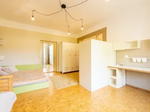 Prodej rodinného domu, Plzeň - Doubravka, Opavská, 220 m2
