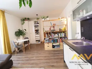 Pronájem bytu 1+kk, Hradec Králové - Pražské Předměstí, Václavkova, 32 m2