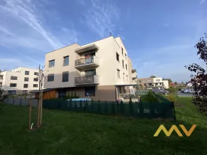 Pronájem bytu 1+kk, Hradec Králové - Pražské Předměstí, Václavkova, 32 m2