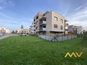 Pronájem bytu 1+kk, Hradec Králové - Pražské Předměstí, Václavkova, 32 m2