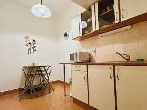 Pronájem kanceláře, Hradec Králové, Bieblova, 17 m2