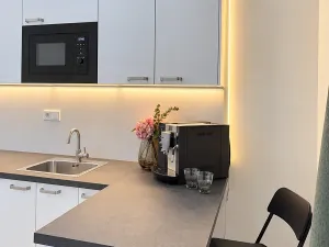 Prodej bytu 1+kk, Plzeň, Železná, 27 m2