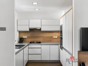 Prodej bytu 3+kk, Opava - Předměstí, Stará silnice, 57 m2
