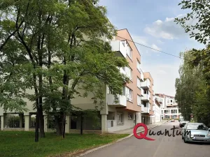 Pronájem bytu 2+kk, Praha - Žižkov, U staré cihelny, 57 m2