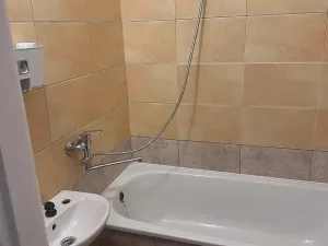 Pronájem bytu 2+1, Lovosice, Sady pionýrů, 56 m2
