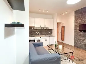 Pronájem bytu 2+1, Plzeň - Východní Předměstí, Guldenerova, 46 m2