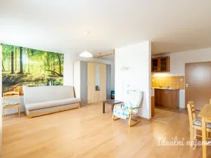 Pronájem bytu 1+kk, Šestajovice, Komenského, 47 m2