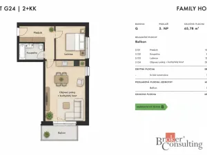 Prodej bytu 2+kk, Plzeň - Jižní Předměstí, Železná, 59 m2