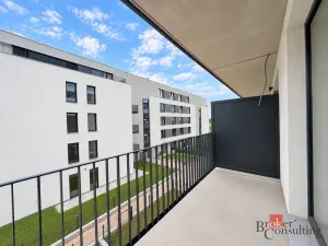 Prodej bytu 2+kk, Plzeň - Jižní Předměstí, Železná, 59 m2