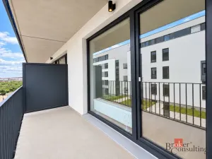 Prodej bytu 2+kk, Plzeň - Jižní Předměstí, Železná, 59 m2