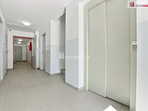 Prodej bytu 2+kk, Ostrov, Severní, 47 m2