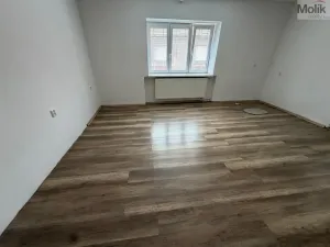 Pronájem rodinného domu, Třebenice, Loucká, 148 m2