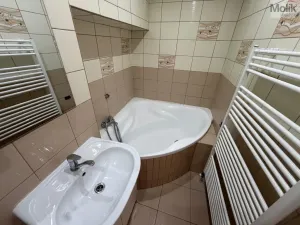 Pronájem rodinného domu, Třebenice, Loucká, 148 m2