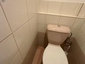 Pronájem rodinného domu, Třebenice, Loucká, 148 m2