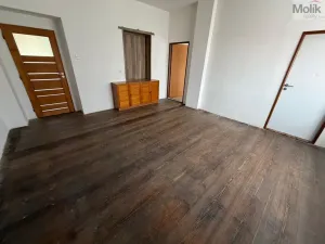 Pronájem rodinného domu, Třebenice, Loucká, 148 m2
