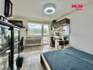 Prodej bytu 1+kk, Most, Brněnská, 34 m2