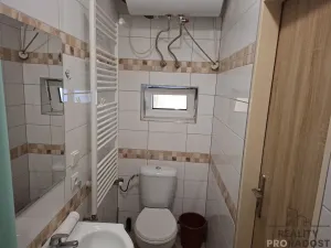 Pronájem bytu 1+kk, Nové Strašecí, Palackého, 25 m2
