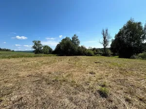 Prodej pozemku pro bydlení, Horní Planá, 1547 m2
