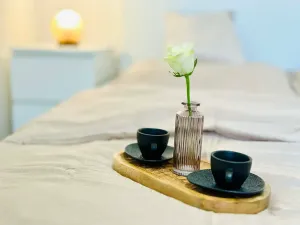 Pronájem bytu 2+kk, Jihlava, Havlíčkova, 36 m2