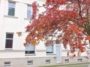 Pronájem bytu 2+kk, Praha - Dejvice, Na Hanspaulce, 36 m2