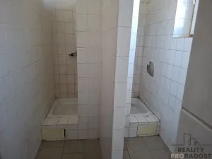 Pronájem kanceláře, Slaný, Netovická, 50 m2