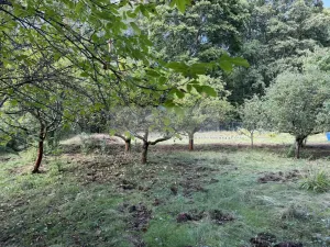 Prodej chaty, Hrobčice, 63 m2