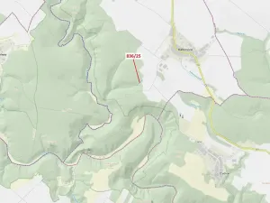 Dražba lesa, Ketkovice, 907 m2