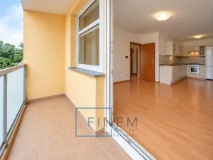 Pronájem bytu 2+kk, Libčice nad Vltavou, Družstevní, 44 m2