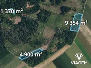 Prodej podílu lesa, Radkovice u Budče, 12665 m2