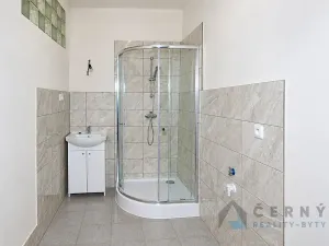 Pronájem bytu 3+1, Liberec, 8. března, 110 m2