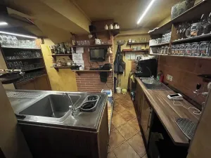 Pronájem restaurace, Brno, Purkyňova, 243 m2