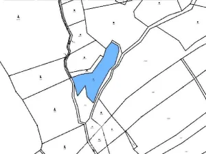 Prodej louky, Bílá - Petrašovice, 3277 m2