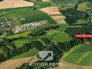 Prodej louky, Bílá - Petrašovice, 3277 m2